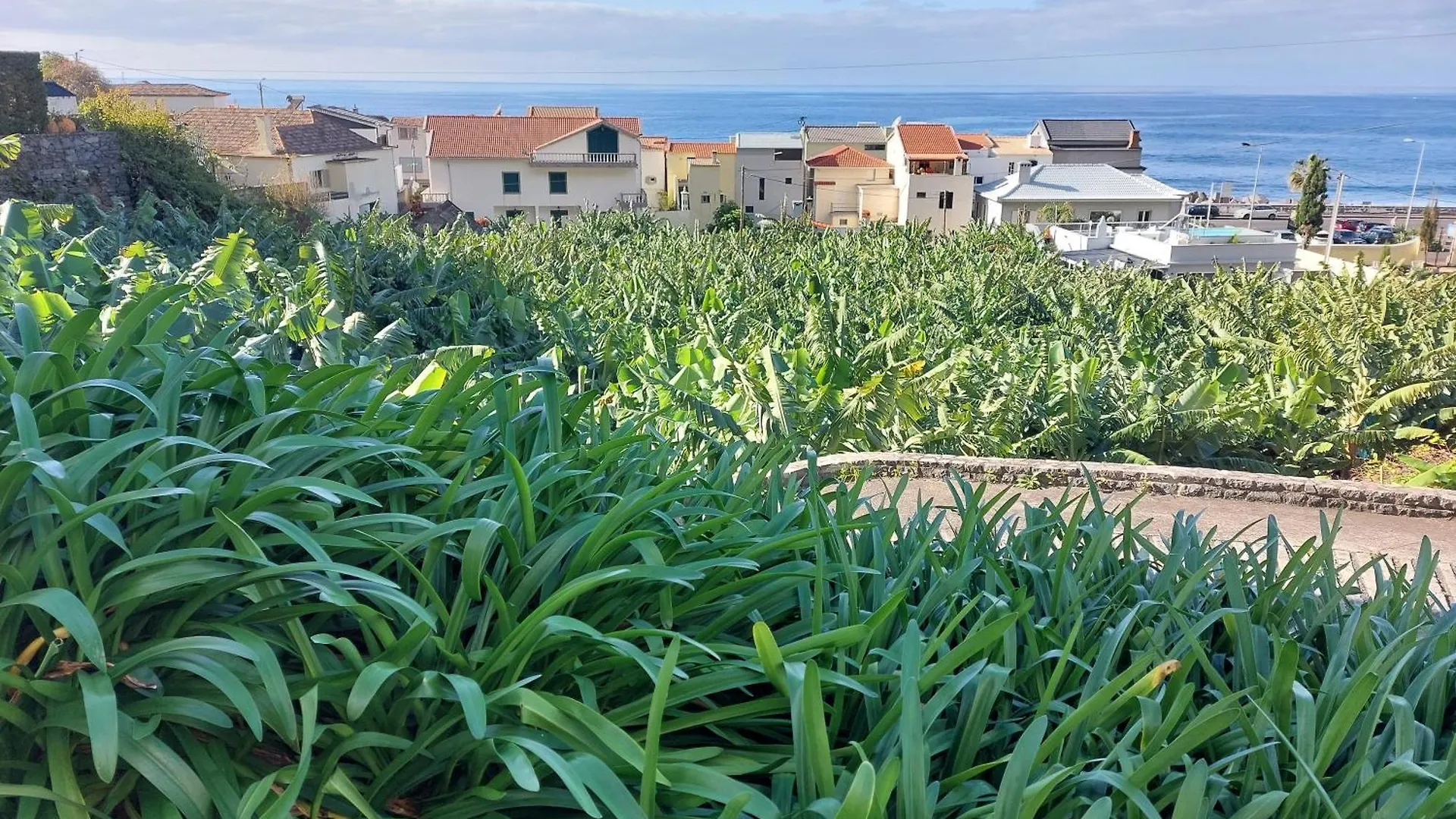 Studio Casa Tropicana Paul do Mar  Paul do Mar (Madeira)